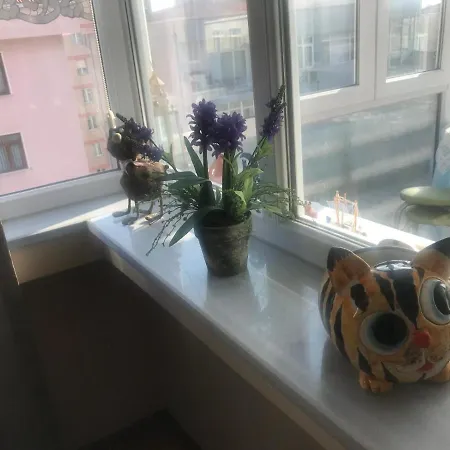 Panzió Homemy